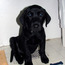 <b>kittygirl24</b> - the 02/11/2010 at 7:17pm