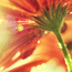 <b>JustSoLost</b> - the 11/05/2009 at 11:01pm