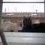 <b>rabbi1010</b> - the 05/06/2014 at 10:58am