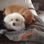 <b>ksktwin84</b> - the 12/18/2012 at 9:52pm