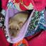 <b>MiloBear</b> - the 07/30/2012 at 3:39pm