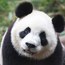 <b>SasaCeceGogo</b> - the 10/07/2013 at 12:06pm