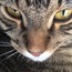 <b>LunaaBluee</b> - the 11/09/2015 at 10:06pm