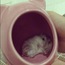 <b>talun</b> - the 01/09/2011 at 5:09am