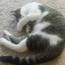 <b>ratman775</b> - the 10/21/2015 at 4:07am