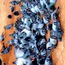 <b>lameuser</b> - the 05/09/2014 at 7:53pm