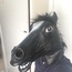 <b>anormalperson</b> - the 10/26/2014 at 7:19am