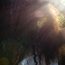 <b>cousin_IT</b> - the 11/30/2009 at 12:12am