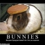 <b>Roadkill007</b> - the 03/20/2011 at 3:25am