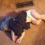 <b>kelseysking</b> - the 11/16/2014 at 8:19pm