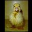 <b>duckman9</b> - the 07/16/2011 at 3:51pm