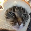 <b>MrDocProfNathan</b> - the 02/29/2016 at 10:49pm
