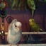 <b>Somefruits</b> - the 01/31/2014 at 2:03pm